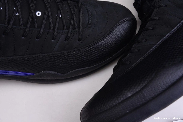 Rep LUCY Retro 12 CT8013 'Dark Jordan 005 Air Concord' 0722